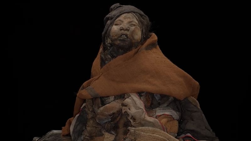 El museo se dedica a la conservación, investigación y difusión de los contextos culturales prehispánicos de los Andes.