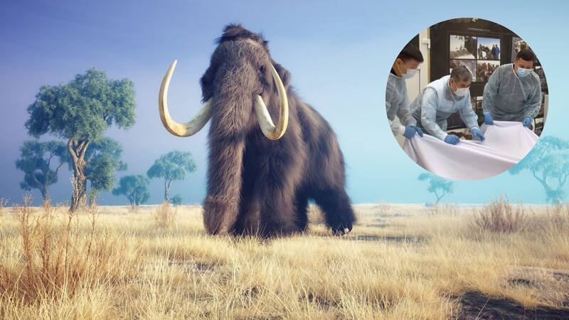 <div class="migrated-promo-image__description"><div class="migrated-promo-image__source">Fuente: Shutterstock</div></div>