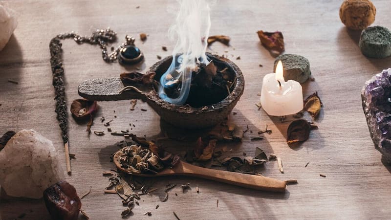 Una planta con muchos beneficios que puede ser utilizada contra las malas vibras. Foto: Freepik.