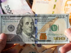 Se mueve el dólar: cuándo volverá a saltar la divisa estadounidense, según el mercado