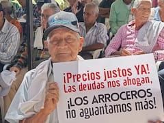 Paro arrocero en Colombia: lista completa de vías, ciudades bloqueadas y las causas del conflicto