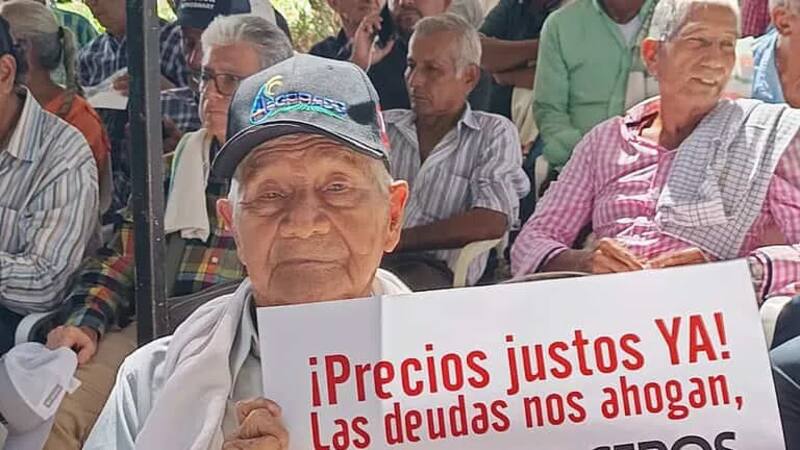 <div class="migrated-promo-image__description"><div class="migrated-promo-image__source">Fuente: Gremio de arroceros</div></div>