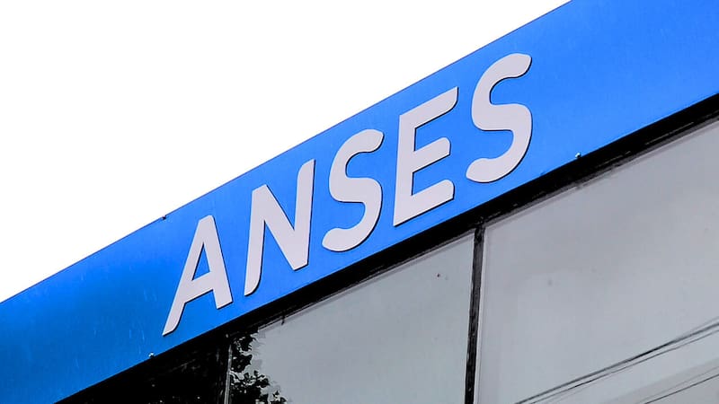 <div class="migrated-promo-image__description"><div class="migrated-promo-image__source">Fuente: Anses</div></div>