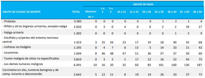 Fuente: Informe de Estadísticas Vitales.