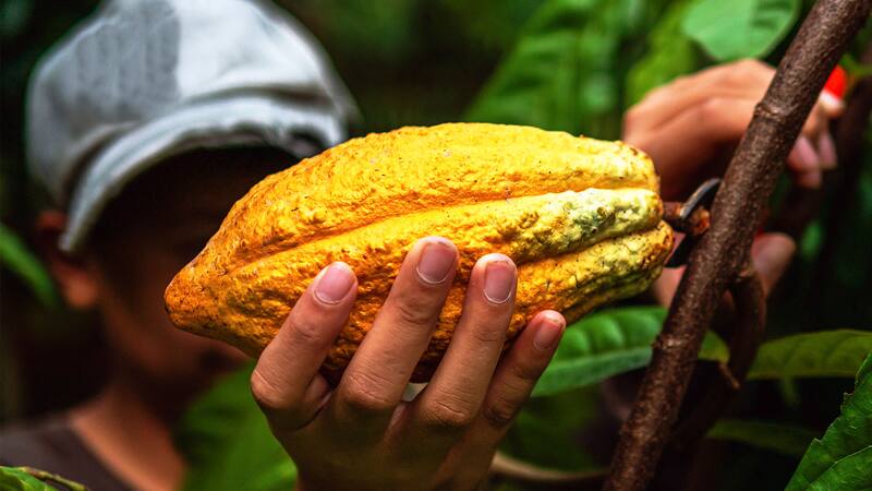 <div class="migrated-promo-image__description"><div class="migrated-promo-image__source">Fuente: ShutterStock</div></div>