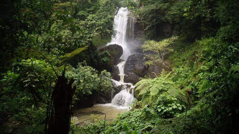 Estas cascadas ofrecen un paisaje selvático único que enamora.