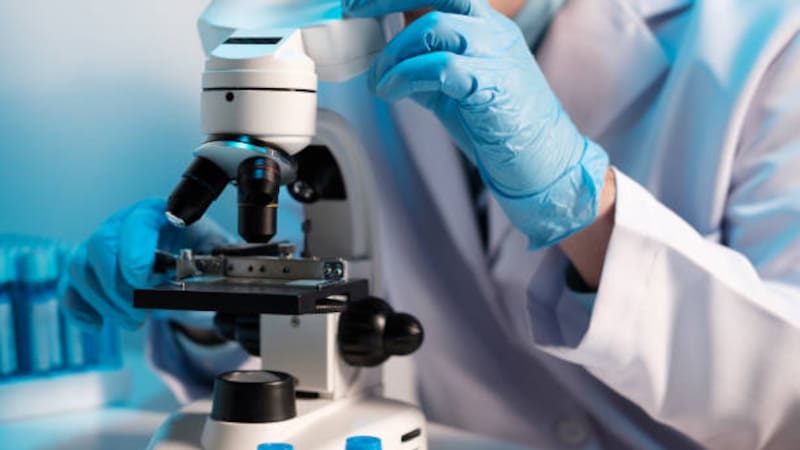 El peligro de los microplásticos en la sangre: científicos alertan sobre su posible vínculo con el cáncer y piden más medidas.