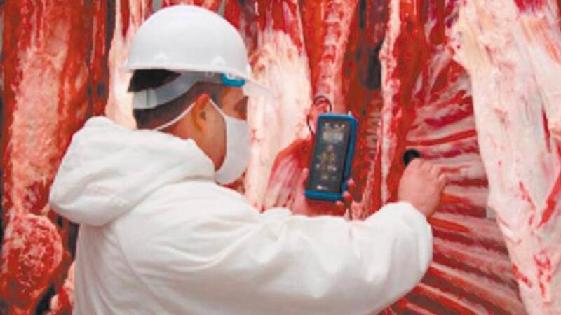 El Senasa intensificó los controles de los productos cárnicos brasileños
