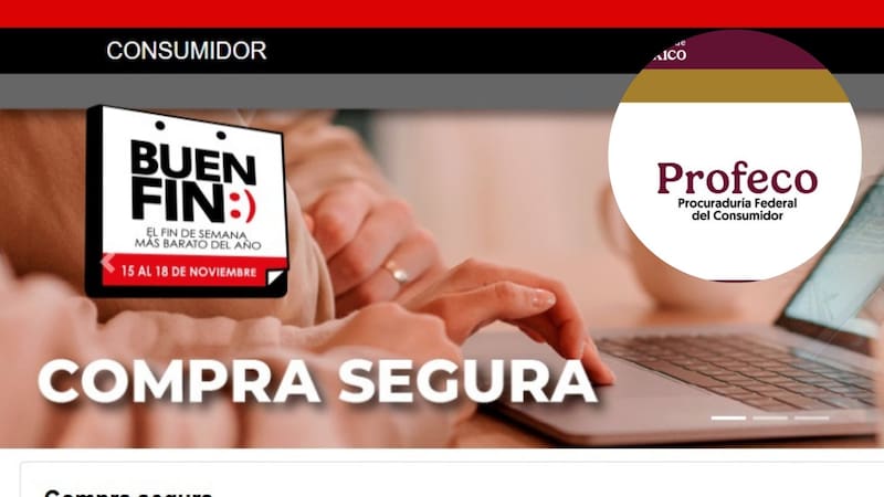 Llega el Buen Fin. Fuente: archivo.