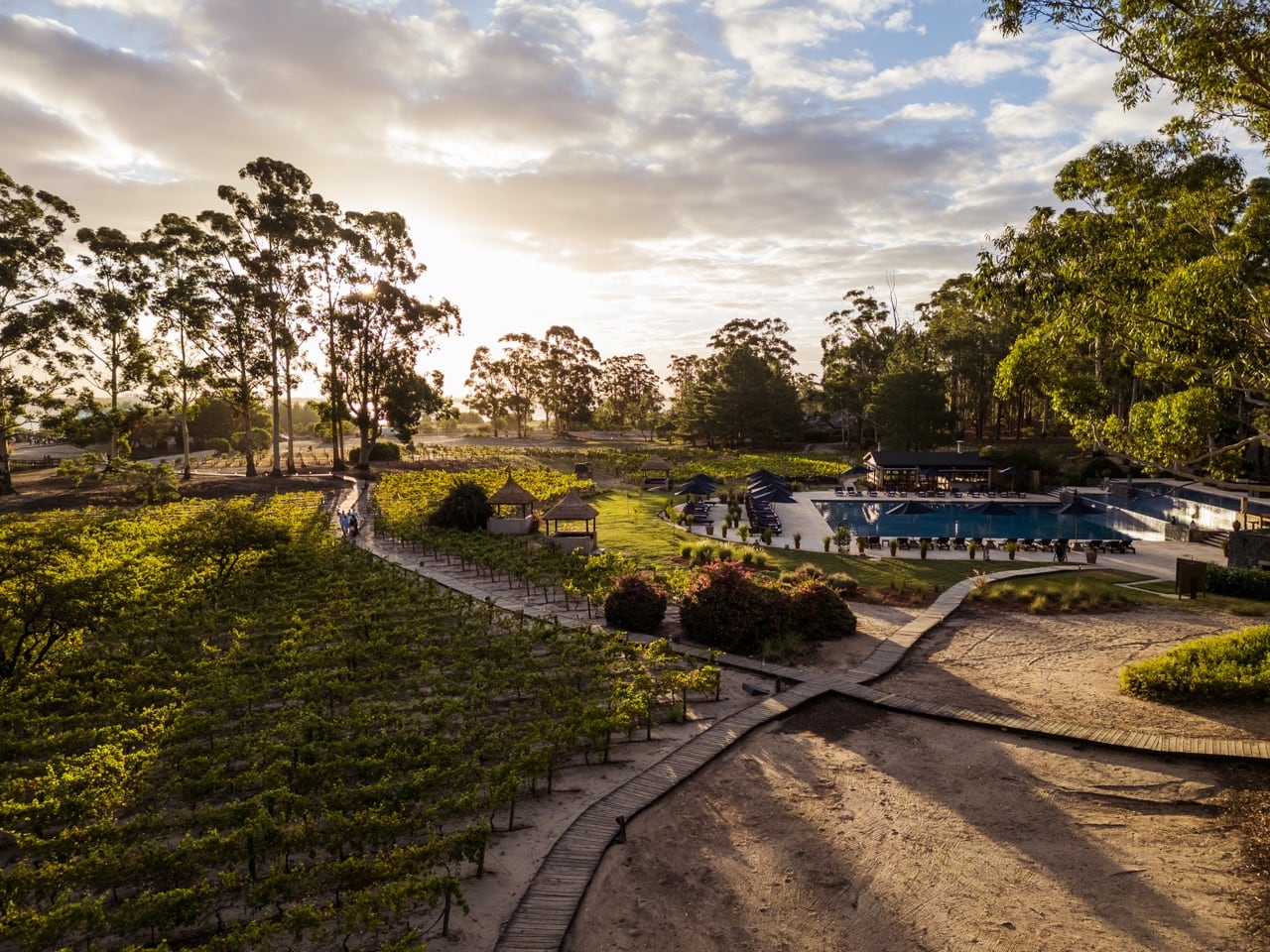 Vista panorámica del resort Carmelo al atardecer: piscina, sombrillas oscuras, viñedos al frente y bosque de eucaliptos al fondo.