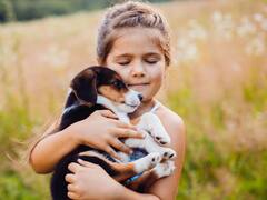 Día del Perro: una importante empresa internacional ofrecerá promociones y un regalo muy especial por esta fecha