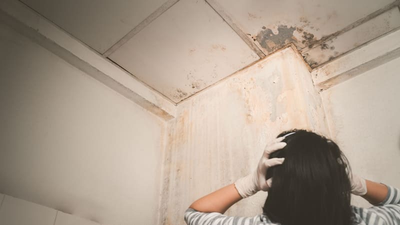 El potente producto de Mercadona que termina con la humedad de tu hogar por tan solo 3 euros.