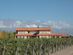 Llega el primer festival de jazz en los mejores viñedos de Mendoza