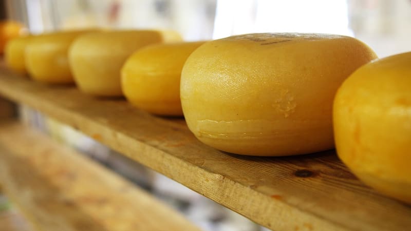 Este queso es de origen español, tiene menos grasa que el fresco y más proteína que la leche