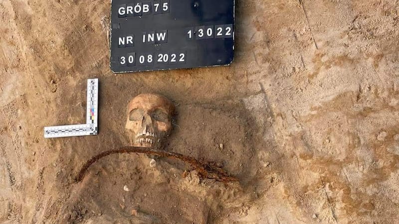 Esqueleto hallado por los científicos. Fuente: ODNilsson.