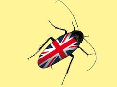 "La cucaracha", una sátira sobre el Brexit y la degradación de la clase política con la mirada McEwan