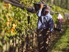 Conflicto de intereses