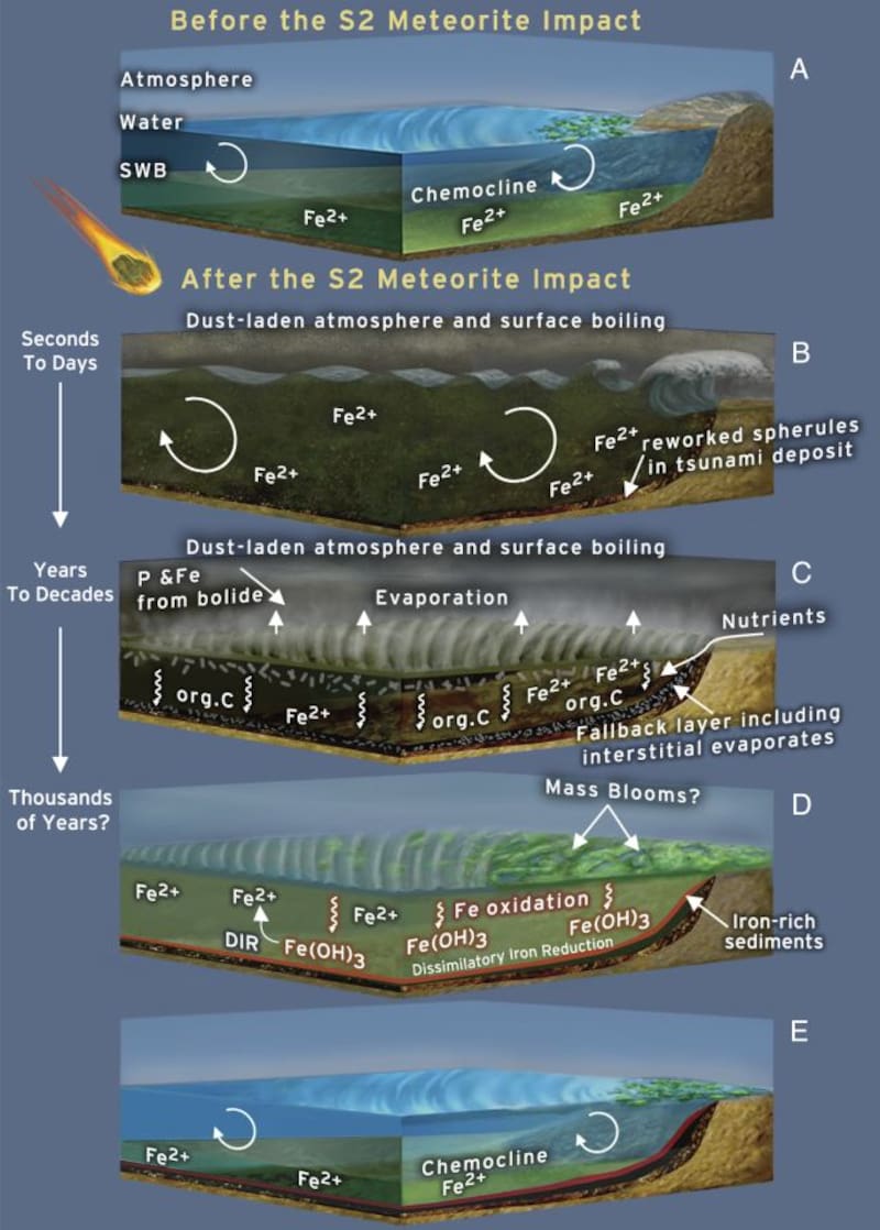 Infografía del impacto del meteorito gigante realizada por la investigación. Foto: Universidad de Harvard.