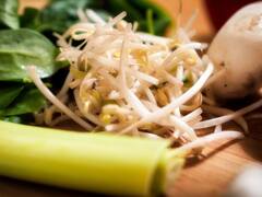 La planta repleta de potasio, magnesio y vitamina E que tiene 'potentes propiedades antioxidantes'