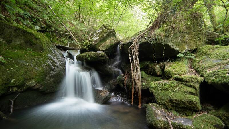 Este parque natural es uno de los más hermosos del país.