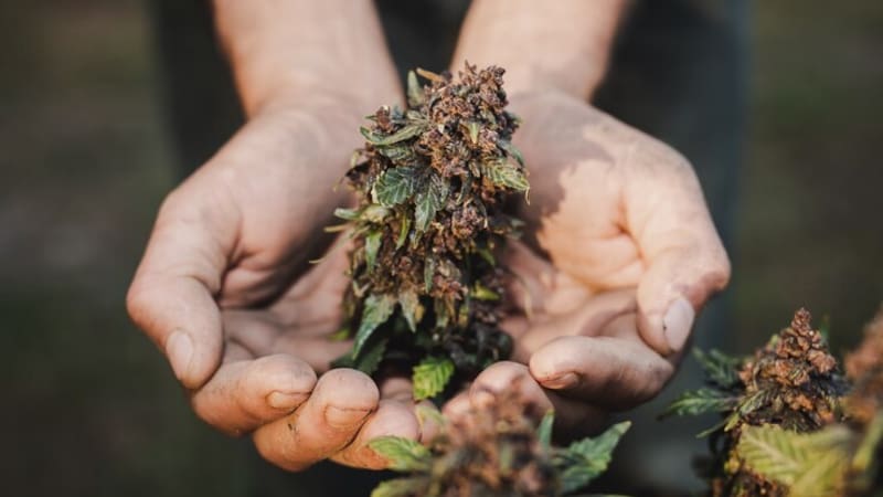 <div class="migrated-promo-image__description"><div class="migrated-promo-image__source">Fuente: Freepik</div></div>