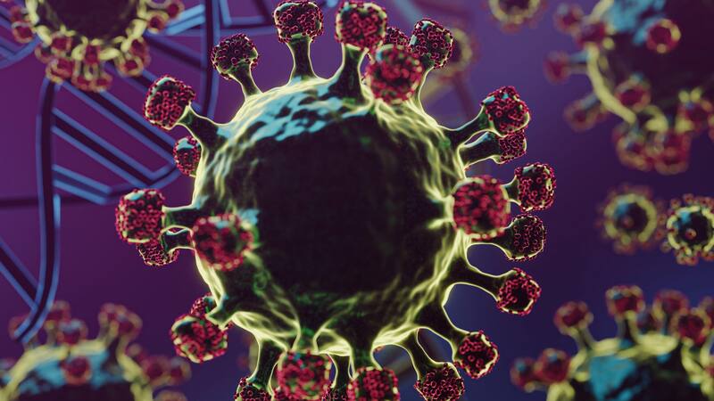 <div class="migrated-promo-image__description"><div class="migrated-promo-image__source">Fuente: FreePik</div></div>