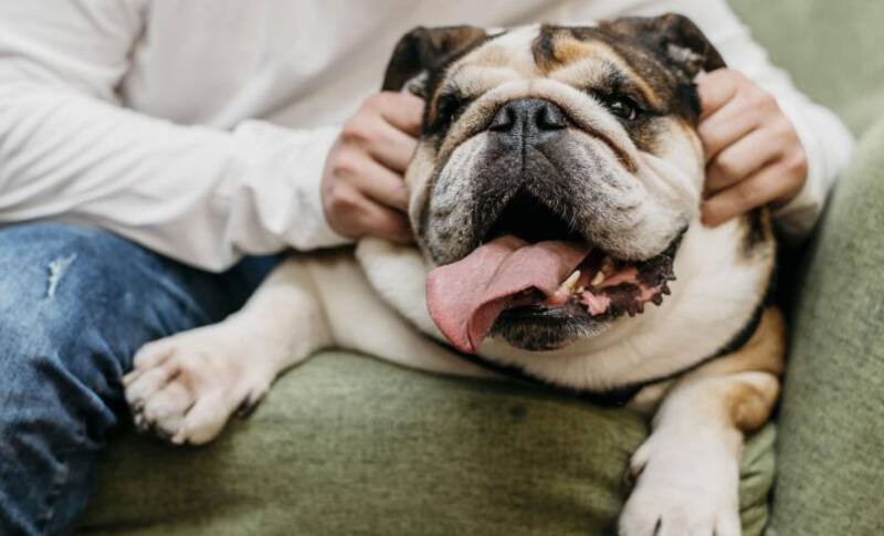 ¿Fin del CURP? Este es el nuevo documento que deberán obtener todos los mexicanos que cumplan con este requisito. (foto: archivo).