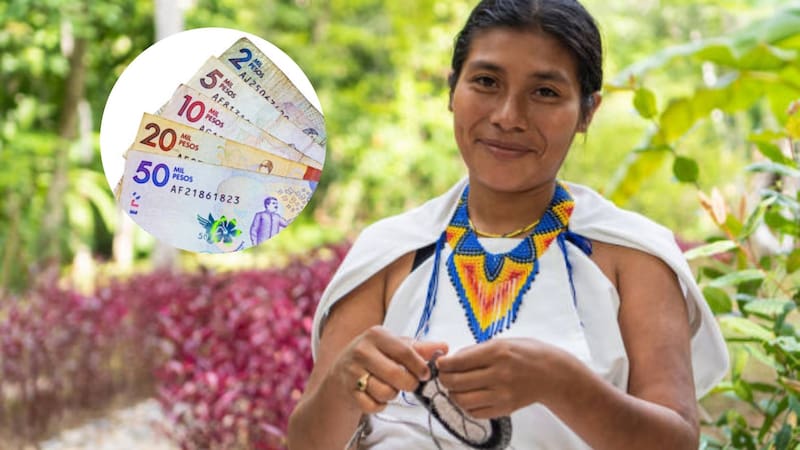 El valor de Devolución del IVA por cada ciclo de pago oscila entre los 90.000 pesos y 100.000 pesos.