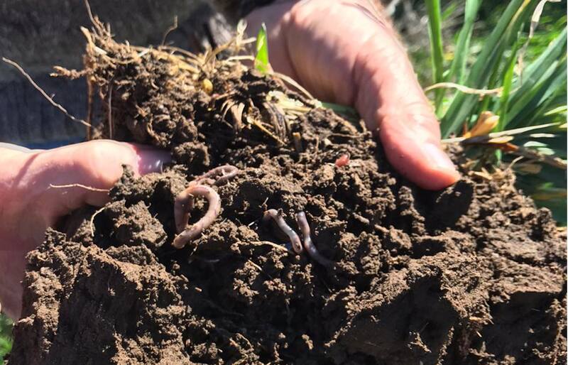 Las nuevas tecnologías son clave para impulsar innovaciones en el sector.