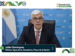 Para Domínguez el 2021 será "el segundo año récord" en exportación de carne y maíz