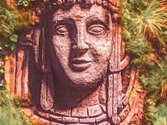 Arqueólogos descubren el secreto del poder del Imperio Maya