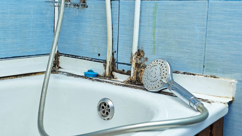 <div class="migrated-promo-image__description"><div class="migrated-promo-image__source">Fuente: Shutterstock</div></div>