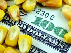 El cierre de las exportaciones de maíz podría costarle al Gobierno cerca de u$s 100 millones