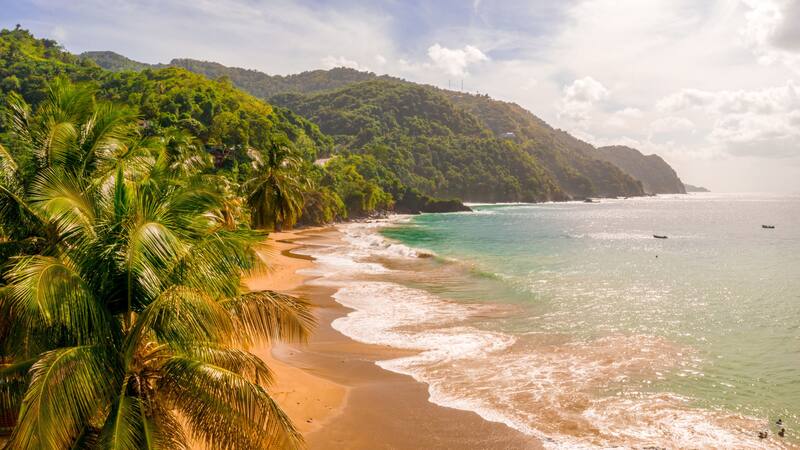 <div class="migrated-promo-image__description"><div class="migrated-promo-image__source">Fuente: Freepik</div></div>