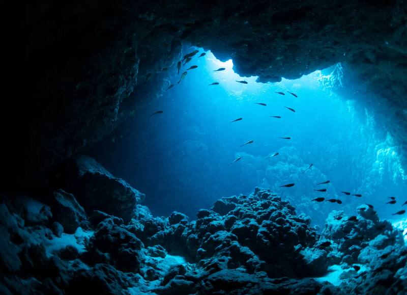 El rol de los montes submarinos que pocos conocían. Fuente: Shutterstock.