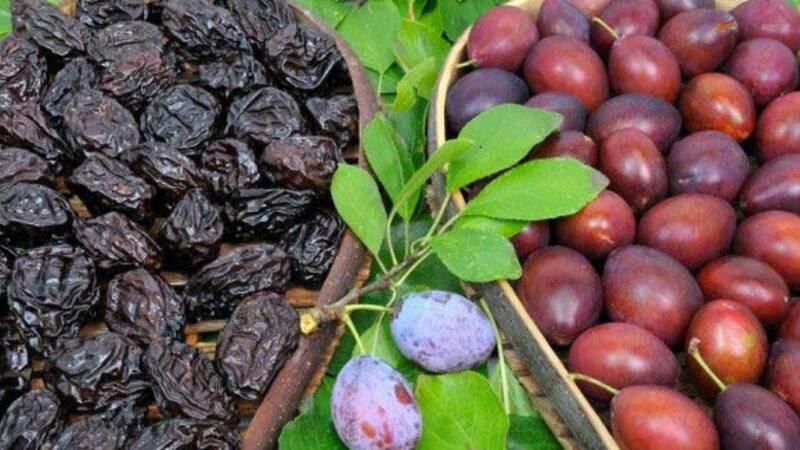 Las ciruelas son ricas en compuestos fenólicos y sustancias bioactivas que actúan como antioxidantes en el cuerpo. (Foto: Pixabay)