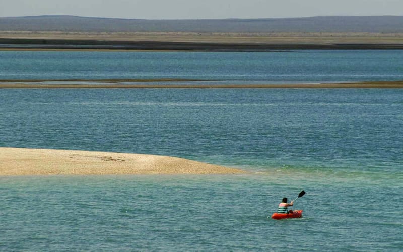 Además, se ofrecen paseos y pesca embarcada y una actividad de jornada completa que incluye una combinación de todas esas opciones.