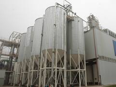 Arcor 'testea' el mercado de los panificados congelados