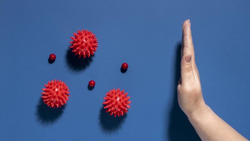 Conocé cuántas células hay dentro de tu organismo.