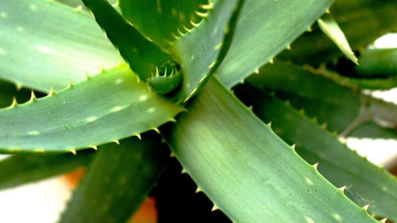 <div class="migrated-promo-image__description"><div class="migrated-promo-image__source">Fuente: Freepik.es</div></div>