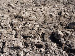 Alerta | Ciudad de México se quedará sin agua en los próximos días