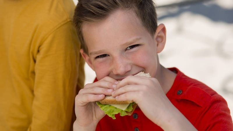 Profeco avala un pan integral por su calidad nutricional y sanitaria.