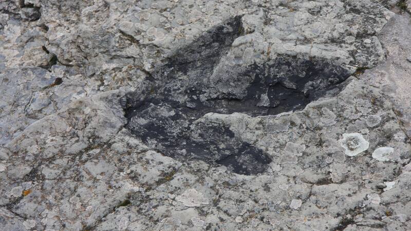 Descubrimiento arqueológico: encuentran en Sudamérica los restos de un tenebroso animal prehistórico de 230 millones de años.