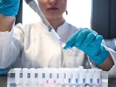 Cambia la ciencia para siempre: descubren un organismo que no está vivo ni muerto