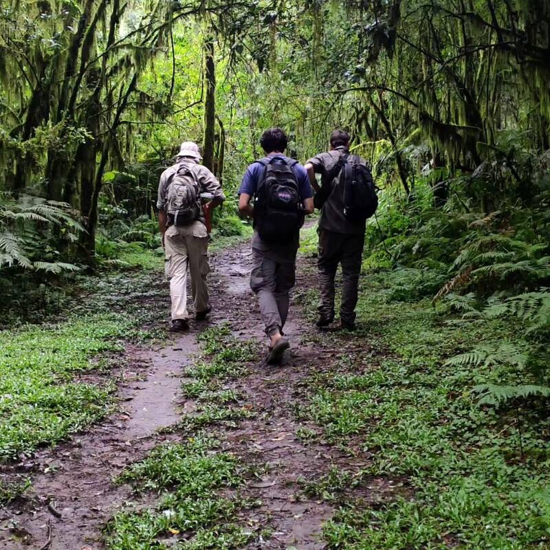 Los investigadores utilizaron un microscopio electrónico de barrido para analizar las basidiosporas. (Foto: Instagram @lab_agaricales)