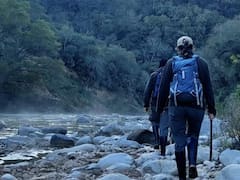 El paraíso norteño que pocos conocen: dónde queda el parque nacional con nombre de rey y fauna salvaje