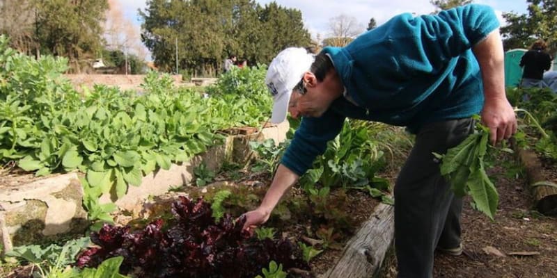 El RENATRE aumentó el fondo de desempleo a un máximo de $ 230.000 mensuales.