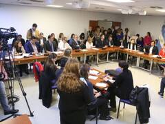 Avanza el proyecto para penar a empresas que cometan delitos contra el Estado