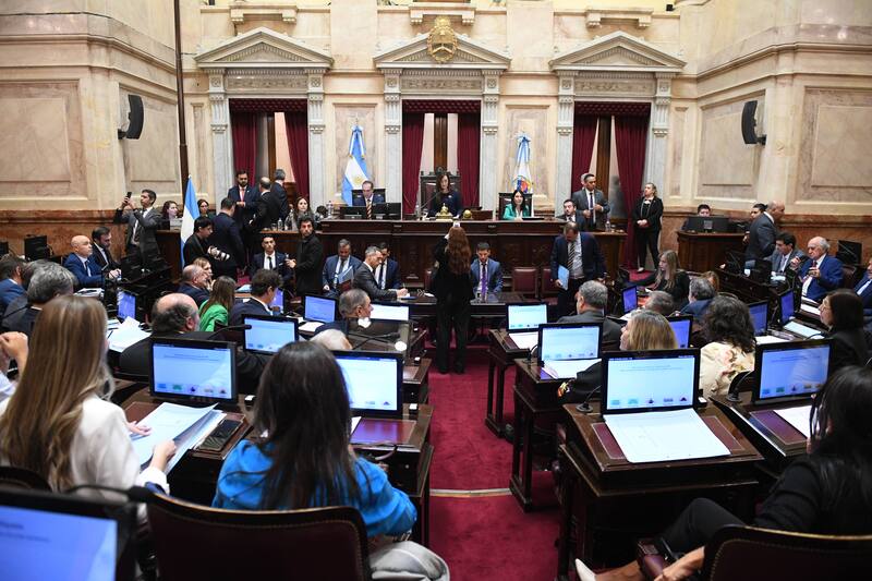 El Senado tratará la Ley Bases el próximo miércoles 12 de junio.