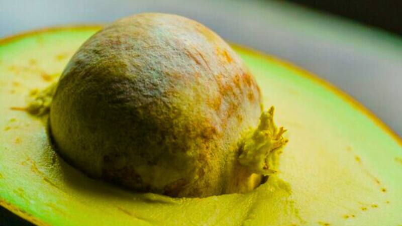 <div class="migrated-promo-image__description"><div class="migrated-promo-image__source">Fuente: Freepik</div></div>